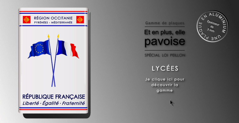 Lycees pavoisement article l 111 1 1 code education